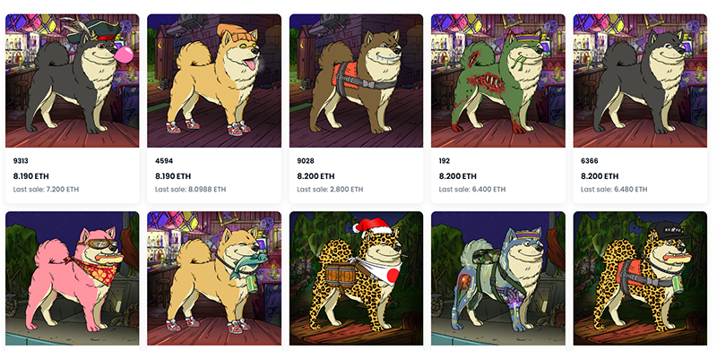 Bored Ape Kennel Club NFT Collection.