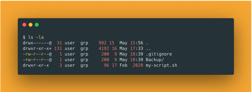 A code readout for a bash command