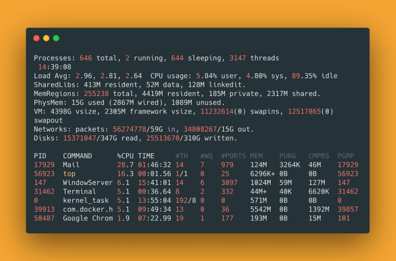 A bash command readout