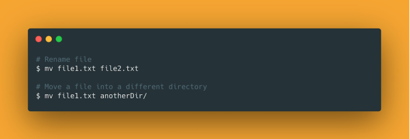 A readout of a bash command