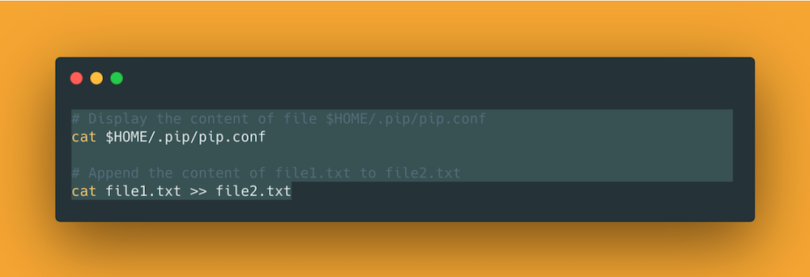 A bash command readout