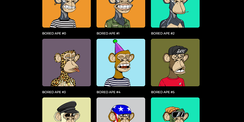 Bored Ape Yatch Club NFT Collection.