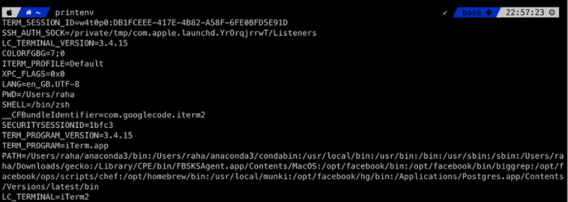 A Linux output