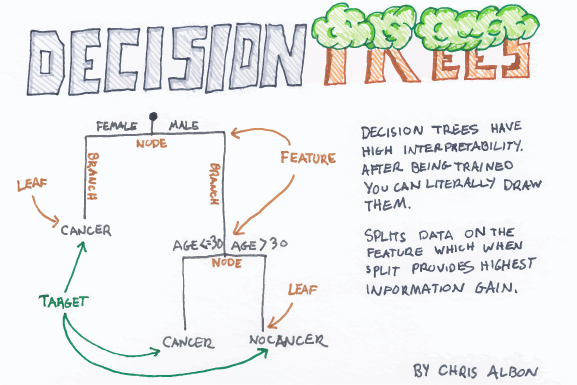 supervised machine learning classification decision trees