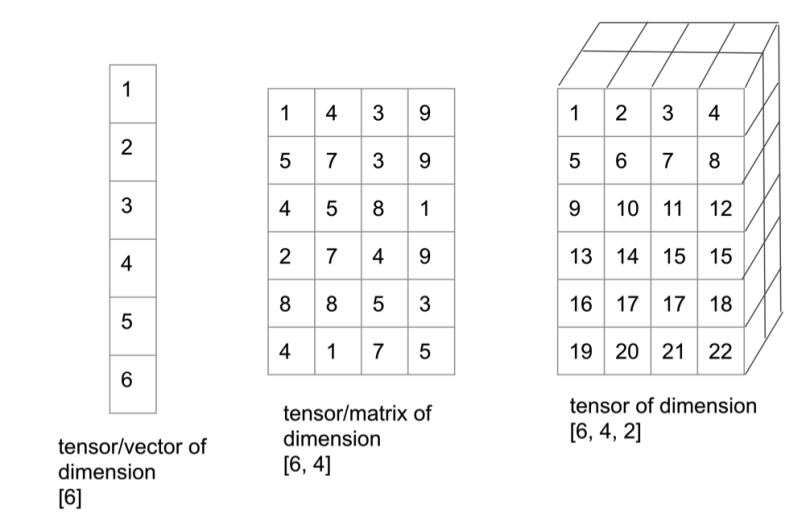 tensor