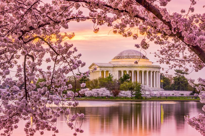 dc