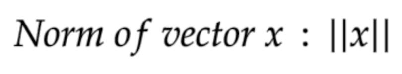 Mathematical notation for a norm