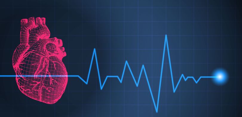 living heart project high performance computing applications