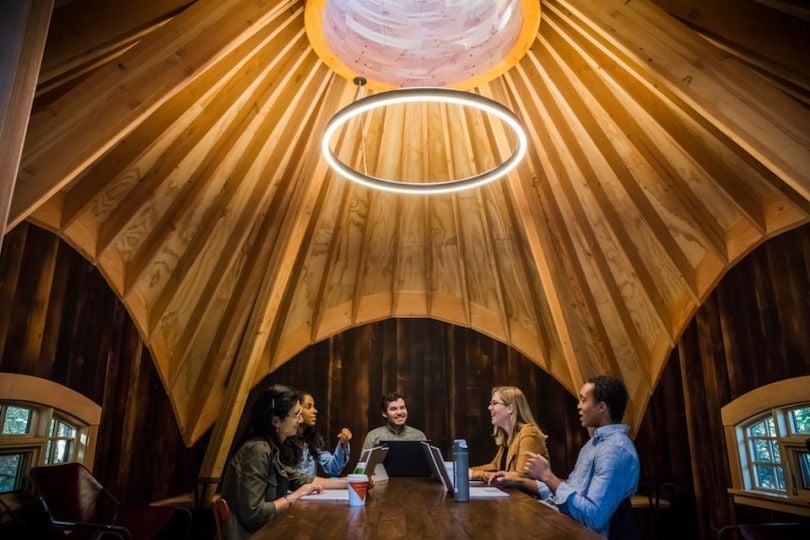 microsoft redmond campus treehouse