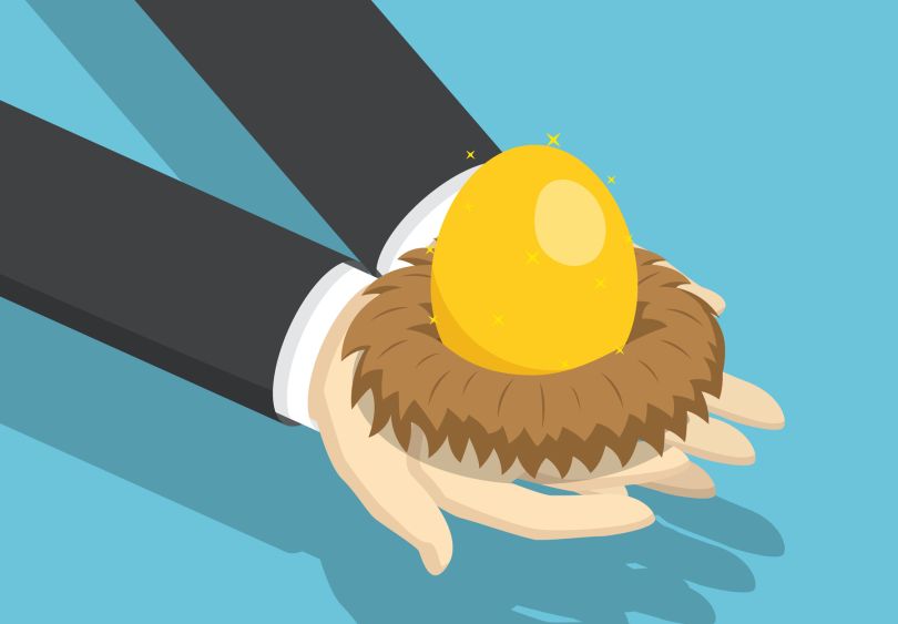 nestegg