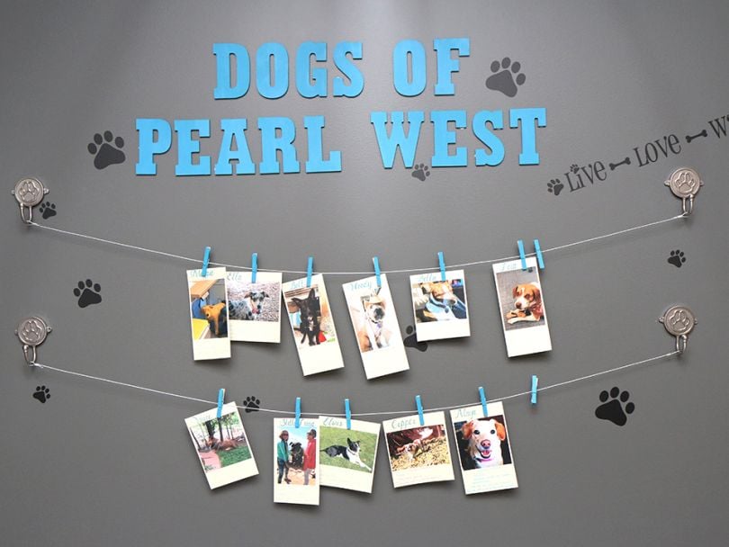 NetApp SolidFire pet Wall
