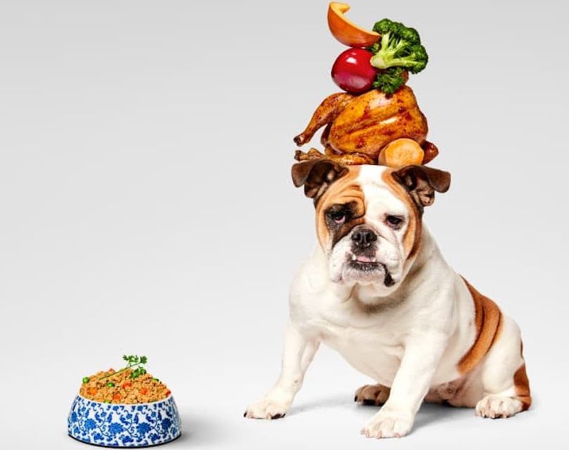 NY-based premium dog food startup Pet Plate raises $9 million Series A funding round let by General Mills