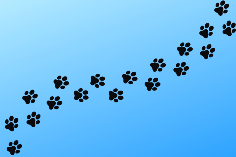 pawprints