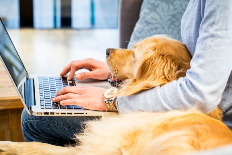 Colorado tech companies offering pet insurance benefits