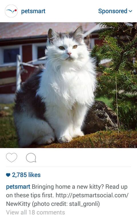 engaging ad copy - instagram