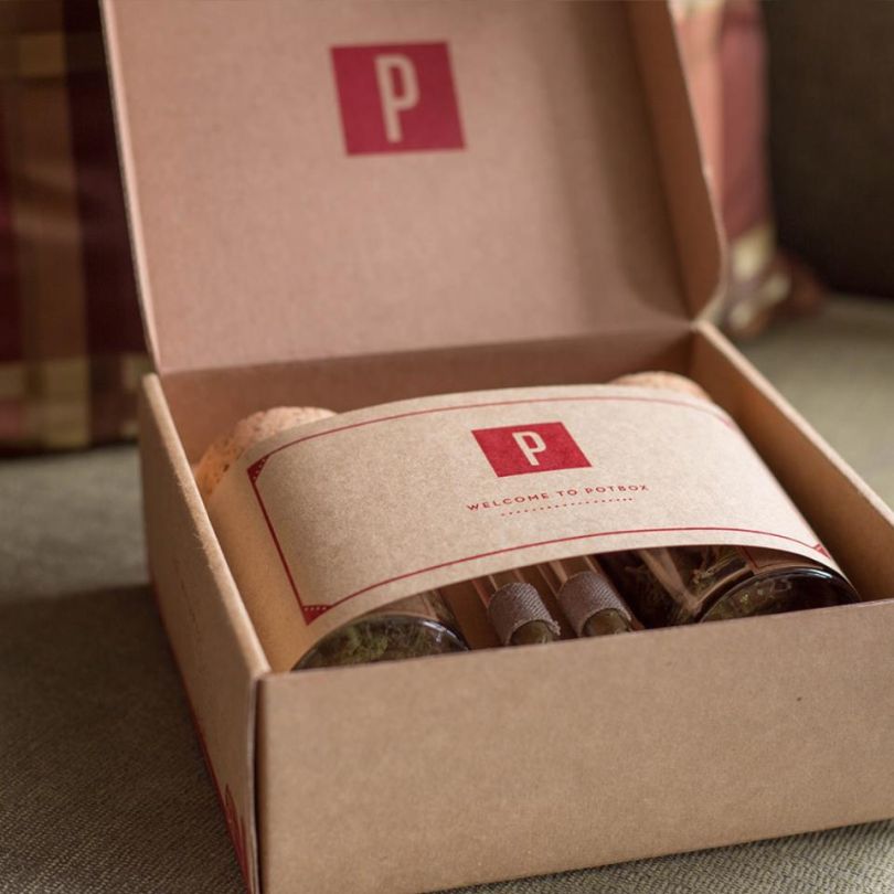 Potbox Boston