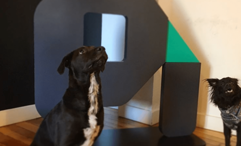 price intelligently puppy