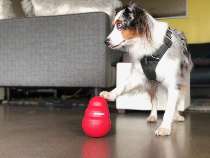 puppod seattle tech startup pets