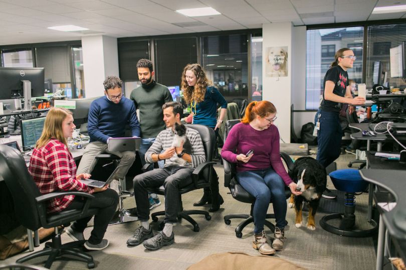 rover engineers seattle tech startup product management team