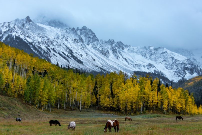 colorado