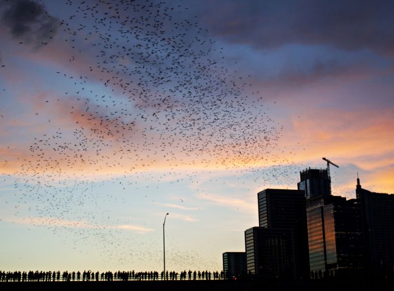 austin
