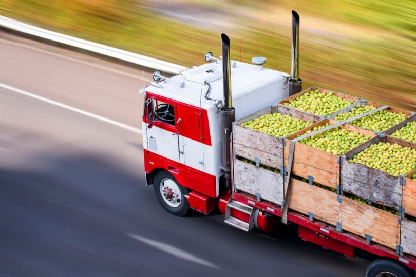 Strella Secures 8 million For Sensors That Detect Fruit Ripeness