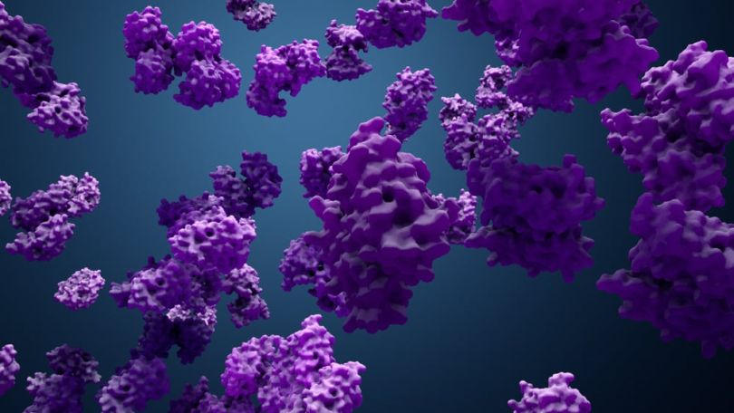 Protein structure