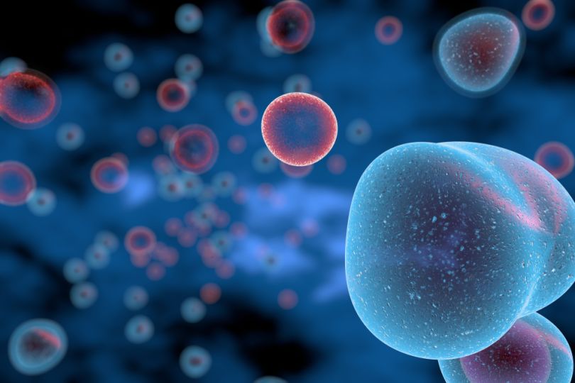 T Cells illustration