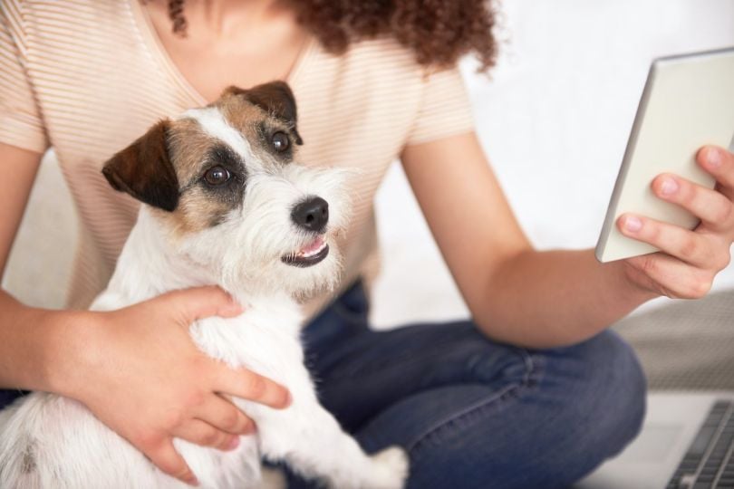 NYC-based The Vets raised $40M seed round