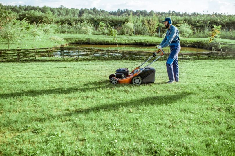 LawnStarter growth investment