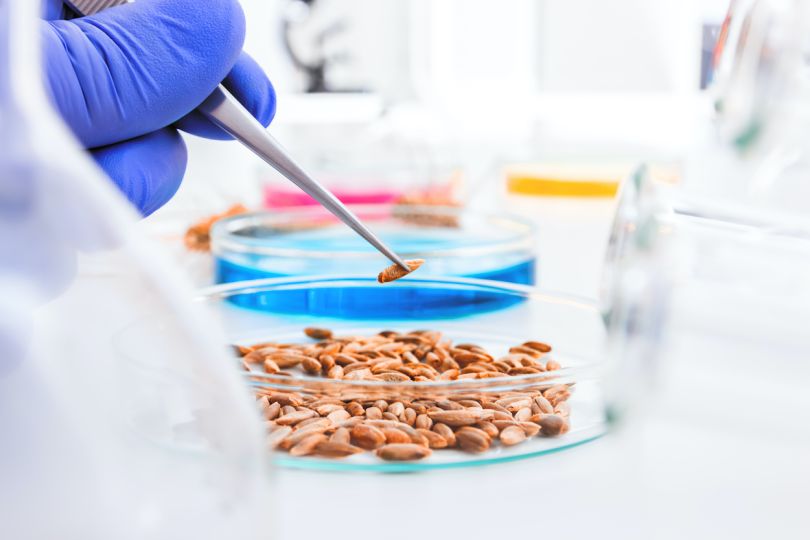 Cambridge-based Inari raises $45M to commercialize gene edited seeds
