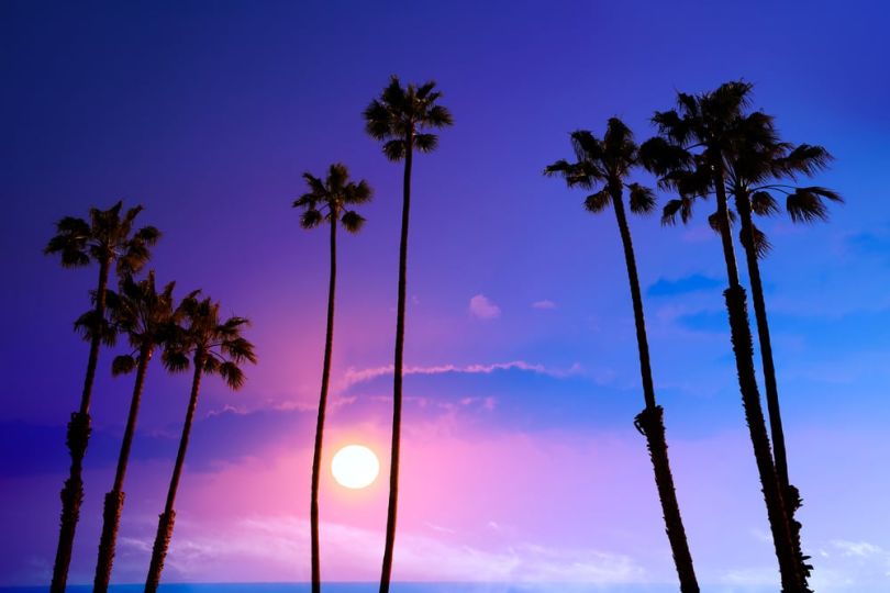 los angeles