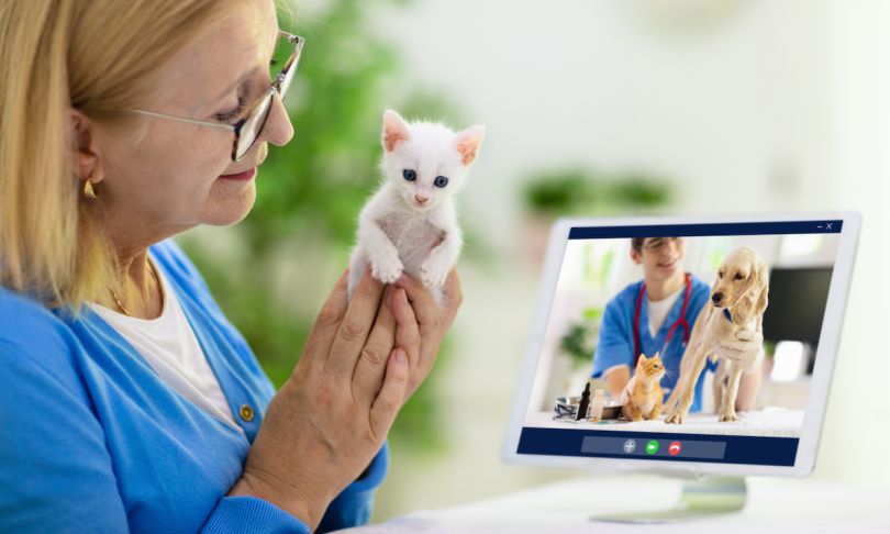 Boston-based Chewy is launching a new service that allows pet parents to consult with vets virtually