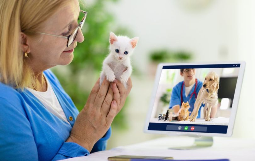 LA-based Airvet raises $14M Series A funding round, plans to grow team