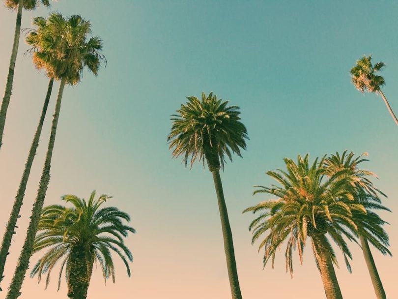 los angeles