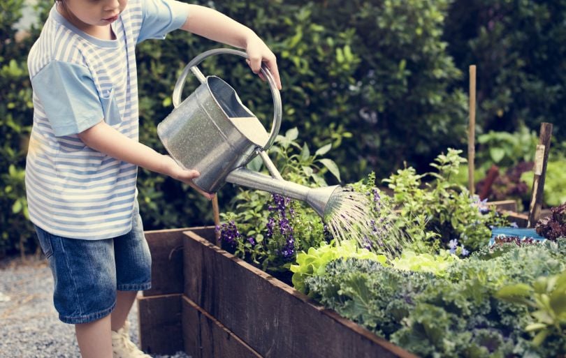 Lawn Serv garden