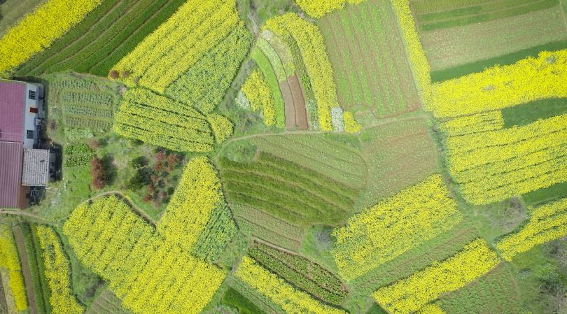Chicago-based Tillable teams up with the Nature Conservancy to make farming more sustainable