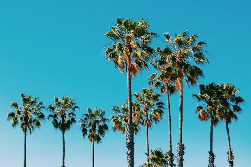 los angeles