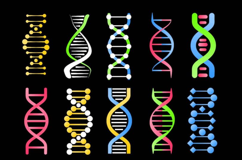 Boulder-based ArcherDX raises $55M to advance biotech