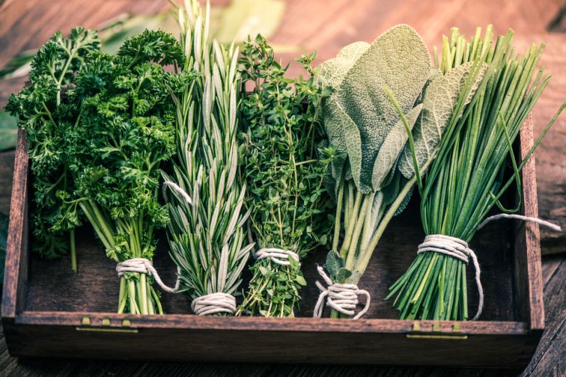 sproutsio