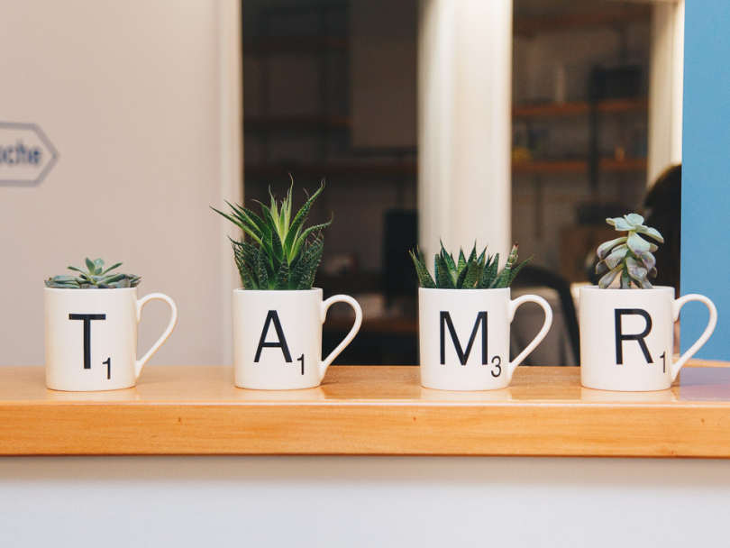 tamr office
