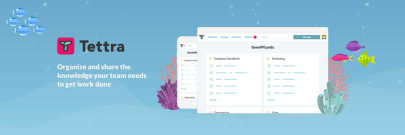 Boston Startups - Tettra