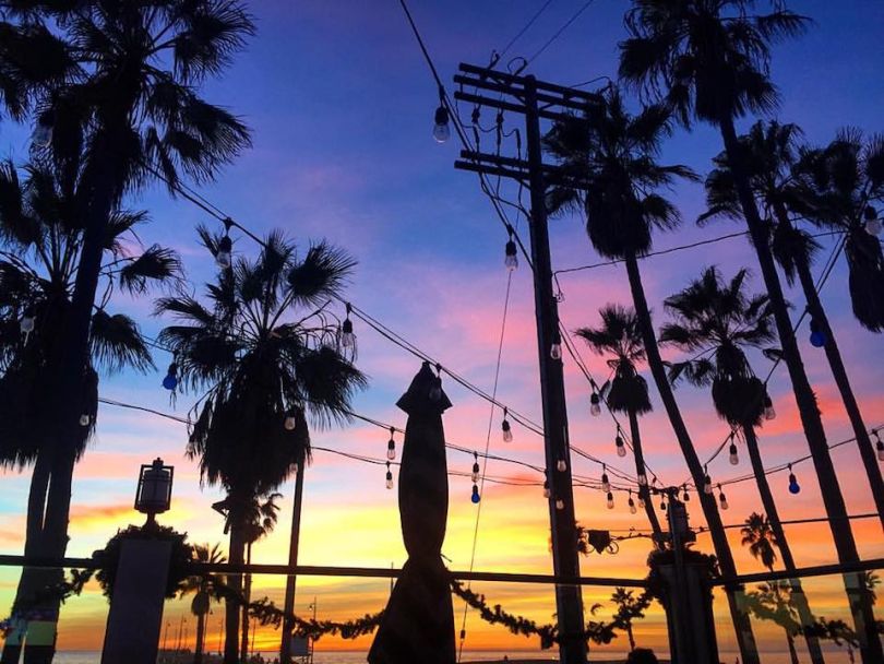 The Venice Whaler Venice tech happy hour