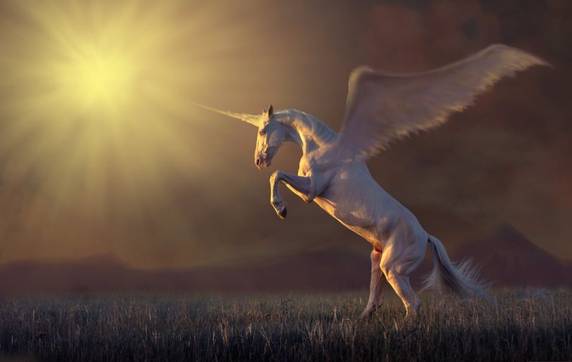 A picture of a unicorn