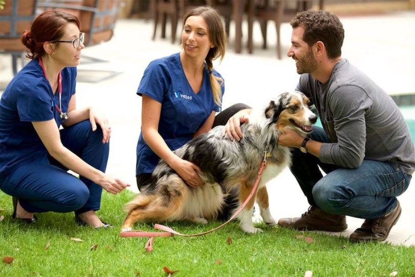 Vetted PetTech startup Los Angeles