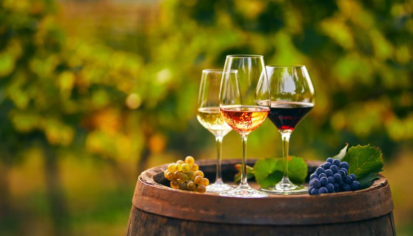 wine at a vineyard