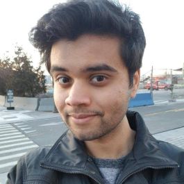 Image of Parthiv Naresh
