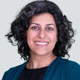 Image of Ramzi Nasr