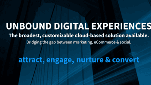 Bridgeline Digital, Inc.