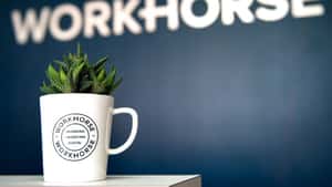 Workhorse Marketing